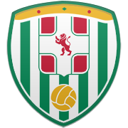 포항 스틸러스 엠블럼