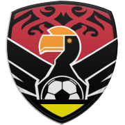 포항 스틸러스 엠블럼