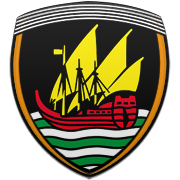 포항 스틸러스 엠블럼